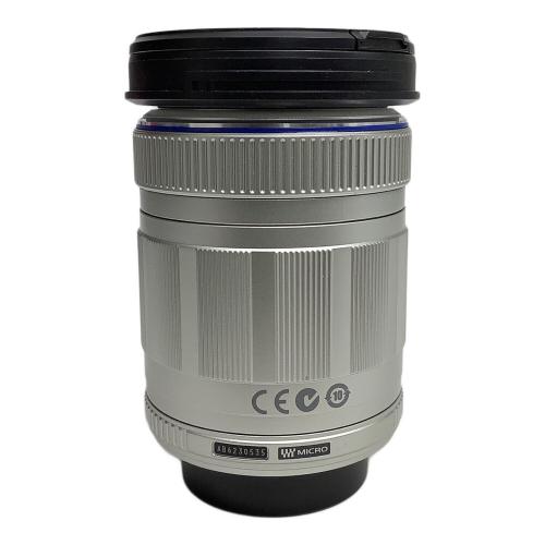 OLYMPUS (オリンパス) デジタル一眼レフカメラ E-PL1s 1310万画素(総画素) 1230万画素(有効画素) フォーサーズ 専用電池 SDカード対応 B6H512980