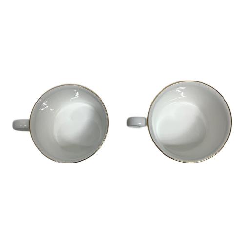 Wedgwood (ウェッジウッド) カップ&ソーサー INDIA 2Pセット
