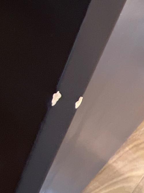 arflex (アルフレックス) ダイニングテーブル AFFOGATO 61 ブラウン AFFOGATO