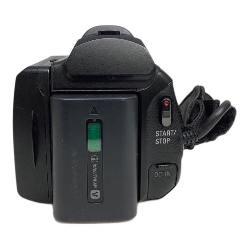 SONY (ソニー) デジタルビデオカメラ HDR-PJ800 バッテリーチャージャー欠品/動作未確認