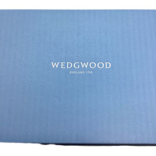 Wedgwood (ウェッジウッド) ペアグラス 箱付 フェスティビティー 2Pセット