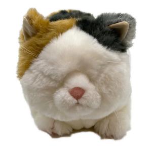 cuddly (カドリー) ヌイグルミ マリア リラックス 猫