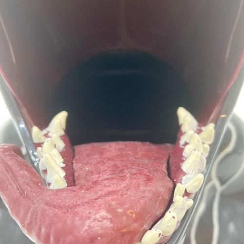 MARVEL（マーベル） ヴェノムポップコーンバケット キャラクターグッズ