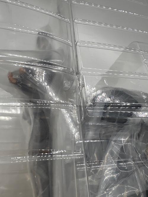 バイオハザード RE:4 コレクターズエディション　※ゲームソフト欠品