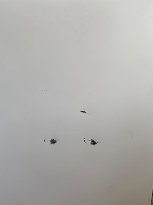 HITACHI (ヒタチ) 6ドア冷蔵庫 R-HW54S 2024年製 540L