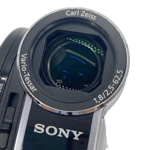 SONY (ソニー) ハンディビデオカメラ DCR-DVD810