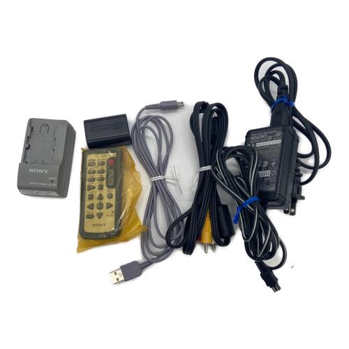 SONY (ソニー) ハンディビデオカメラ DCR-DVD810