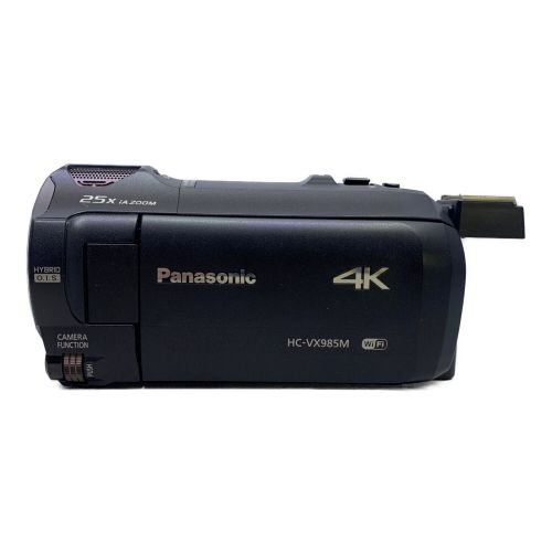 Panasonic (パナソニック) デジタル4Kビデオカメラ 2017年モデル 内蔵 