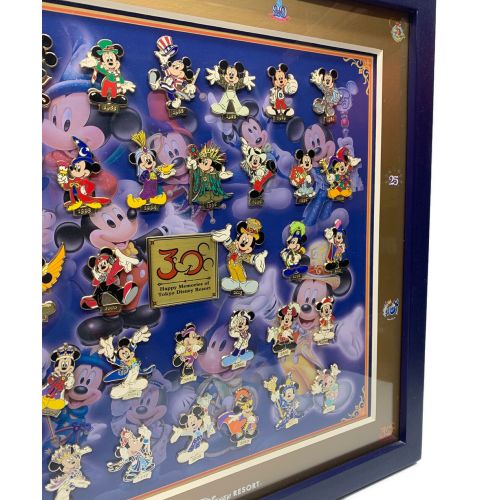 ディズニーリゾート30周年ピンバッチセット