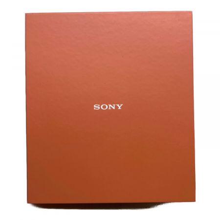 SONY (ソニー) イヤホン・ウォークマンセット WI-H700/NW-A55