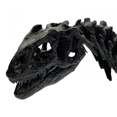 フェバリットコレクション アロサウルス 1/15 スケルトンモデル 恐竜 フェバリットコレクション アロサウルス 1/15 スケルトンモデル 恐竜