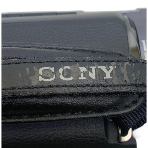 SONY (ソニー) ビデオカメラ HDR-PJ760V 動作確認済み