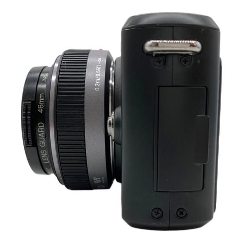 Panasonic (パナソニック) ミラーレス一眼カメラ LUMIX DMC-GF1