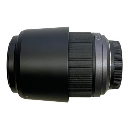 Panasonic (パナソニック) ズームレンズ LUMIX H-FS014045