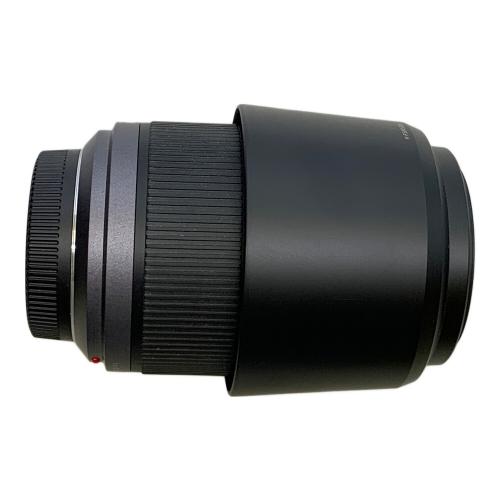 Panasonic (パナソニック) ズームレンズ LUMIX H-FS014045