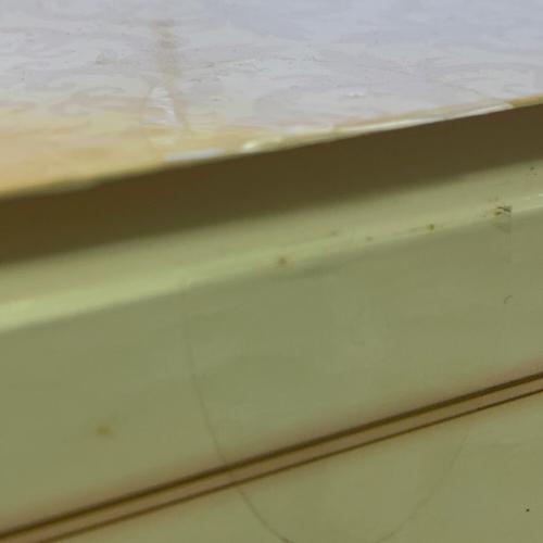 ANIPLEX (アニプレックス) 1/7スケールフィギュア Fate/Apocrypha ルーラー～紅蓮の聖女～