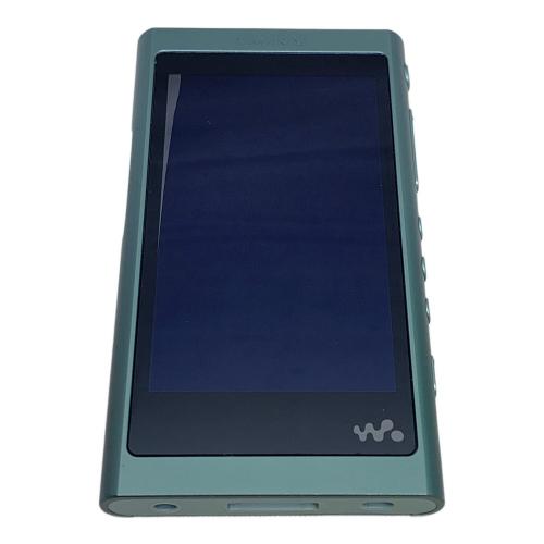 SONY (ソニー) WALKMAN NW-A55 動作確認・初期化済み