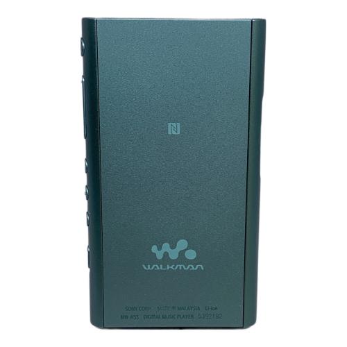 SONY (ソニー) WALKMAN NW-A55 動作確認・初期化済み