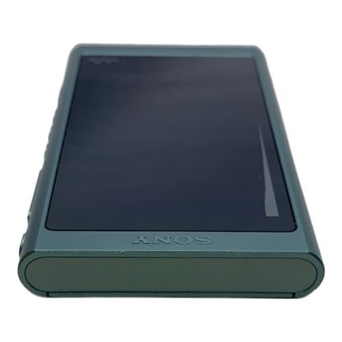SONY (ソニー) WALKMAN NW-A55 動作確認・初期化済み