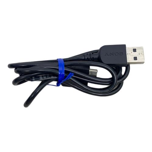 SONY (ソニー) WALKMAN NW-A55 動作確認・初期化済み