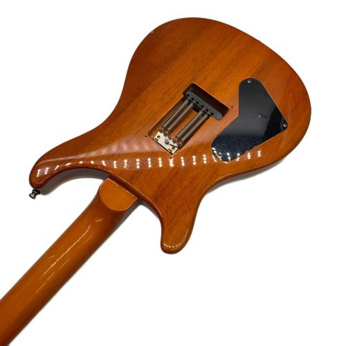 Paul Reed Smith (ポール リード スミス) 30th Anniversary model エレキギター SE Custom 24 2015年製 @