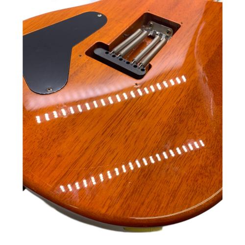 Paul Reed Smith (ポール リード スミス) 30th Anniversary model エレキギター SE Custom 24 2015年製 @