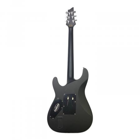 SCHECTER (シェクター) DAMIEN PLATINUM-6FR エレキギター AD-DM-PTM