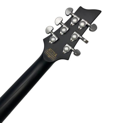 SCHECTER (シェクター) DAMIEN PLATINUM-6FR エレキギター AD-DM-PTM-FR diamond series