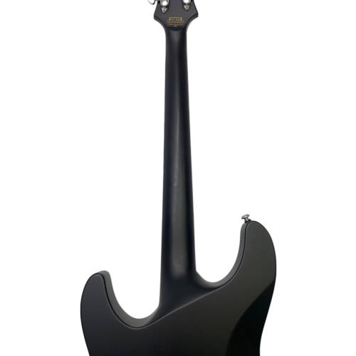 SCHECTER (シェクター) DAMIEN PLATINUM-6FR エレキギター AD-DM-PTM-FR diamond series