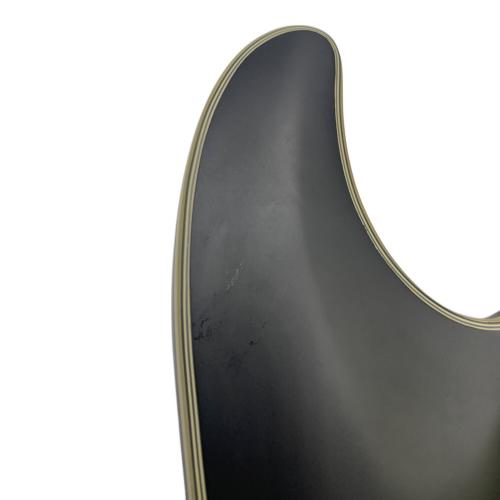 SCHECTER (シェクター) DAMIEN PLATINUM-6FR エレキギター AD-DM-PTM-FR diamond series