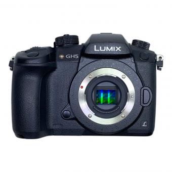Panasonic (パナソニック) デジタル一眼レフカメラ DC-GH5 LUMIX