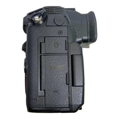 Panasonic (パナソニック) デジタル一眼レフカメラ DC-GH5 LUMIX