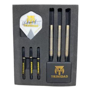 TRiNiDAD Undisputed (トリニダッド アンデシィスプテッド) ダーツセット RICARDO 浅田斉吾モデル