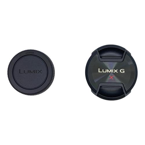 Panasonic (パナソニック) ズームレンズ H-HS35100