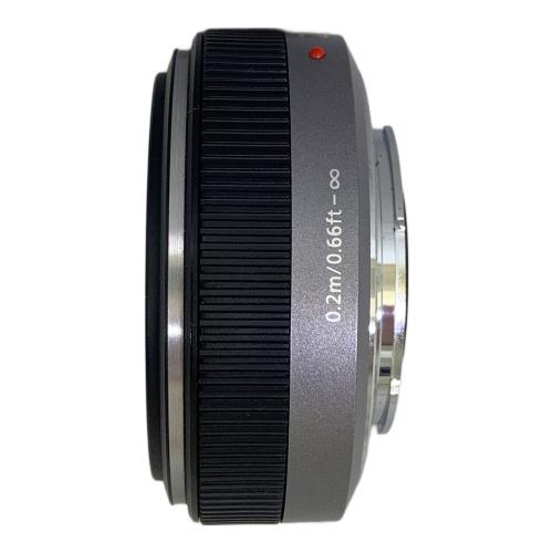 Panasonic (パナソニック) 単焦点レンズ H-H020