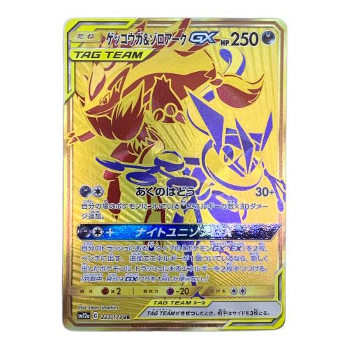 ゲッコウガ＆ゾロアークGX ポケモンカード 223/173 UR