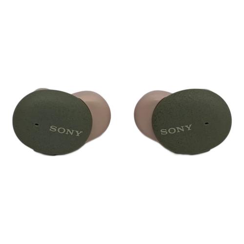 SONY (ソニー) ワイヤレスイヤホン WF-H800