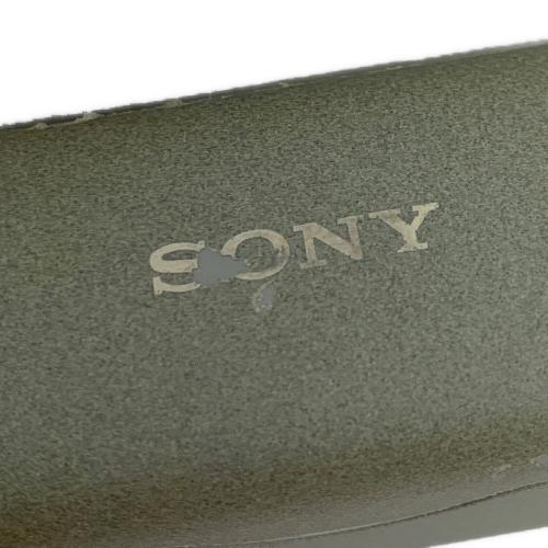 SONY (ソニー) ワイヤレスイヤホン WF-H800