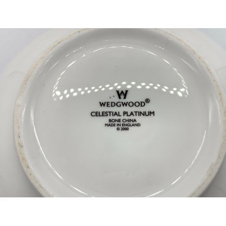 Wedgwood (ウェッジウッド) ティーポット CELESTIAL PLATINUM イングランド製