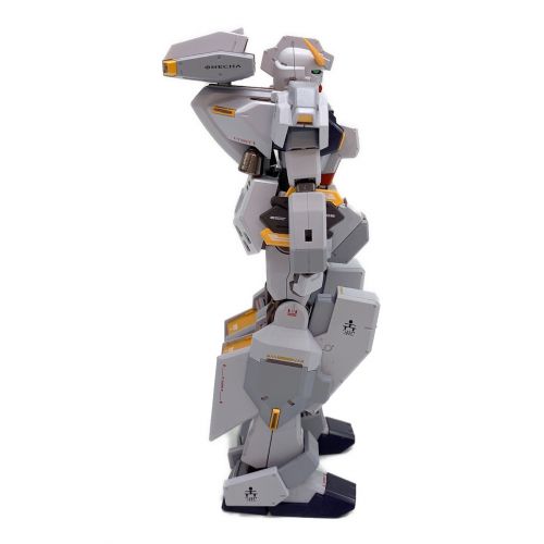 BANDAI (バンダイ) フィギュア METAL ROBOT魂 ガンダムTR-1&オプションパーツセット