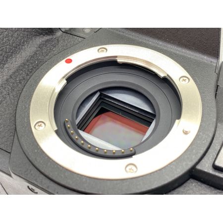 Panasonic (パナソニック) ミラーレス一眼カメラ DMC-G8