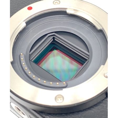 Panasonic (パナソニック) ミラーレス一眼カメラ LUMIX GM DMC-GM5K-K