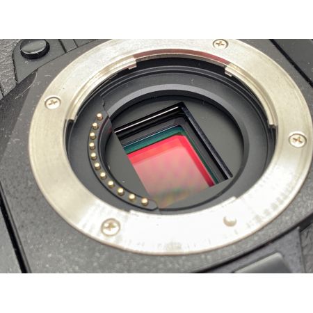 OLYMPUS (オリンパス) デジタル一眼レフカメラ OM-D E-M1