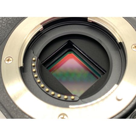 OLYMPUS (オリンパス) ミラーレス一眼カメラ OM-D E-M5Ⅱ マイクロフォーサーズ