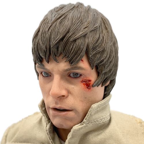 HOTTOYS (ホットトイズ) ムービーマスターピース LUKE SKYWALKER(ルークスカイウォーカー) BESPIN OUTFIT 1/6