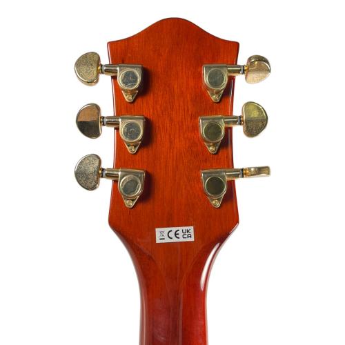 GRETSCH (グレッチ) G2657TG Streamliner Center Block Jr. Double-Cut with Bigsby IS220804591