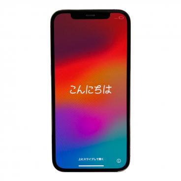 iPad Pro 第1世代　64GB MU0M2J Apple (アップル) iPad Pro(第1世代) Wi-Fi+Cellular MU0M2J/A SIM