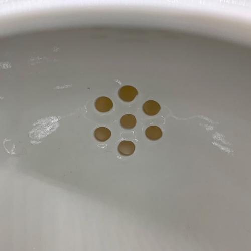 Bohemia (ボヘミア) ティーポット ZWIEBELMUSTER ブルーオニオン