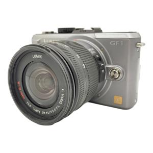Panasonic (パナソニック) LUMIX GF1 LUMIX G LENS KIT DMC-GF1