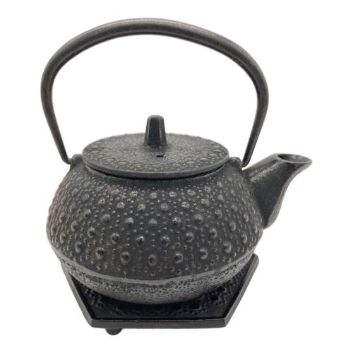 南部鉄器 (ナンブテッキ) 急須 岩鋳